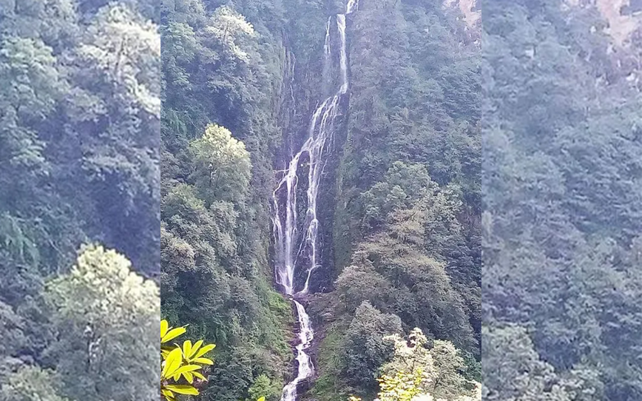 sarmul