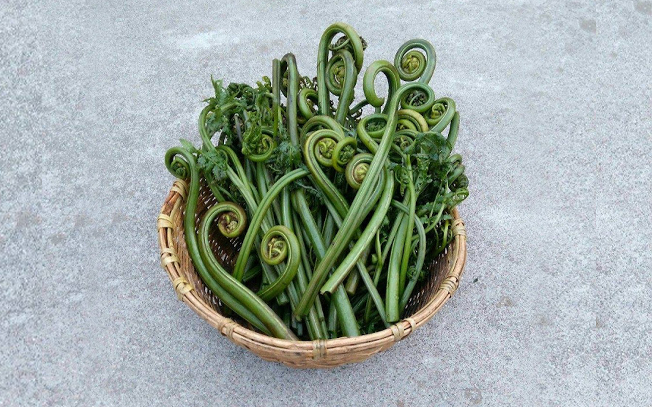 लिंगुड़ा की सब्जी