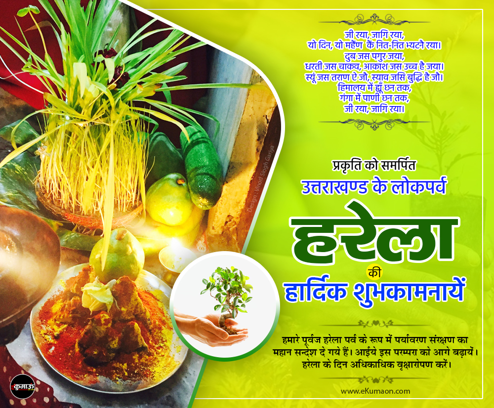 Happy Harela