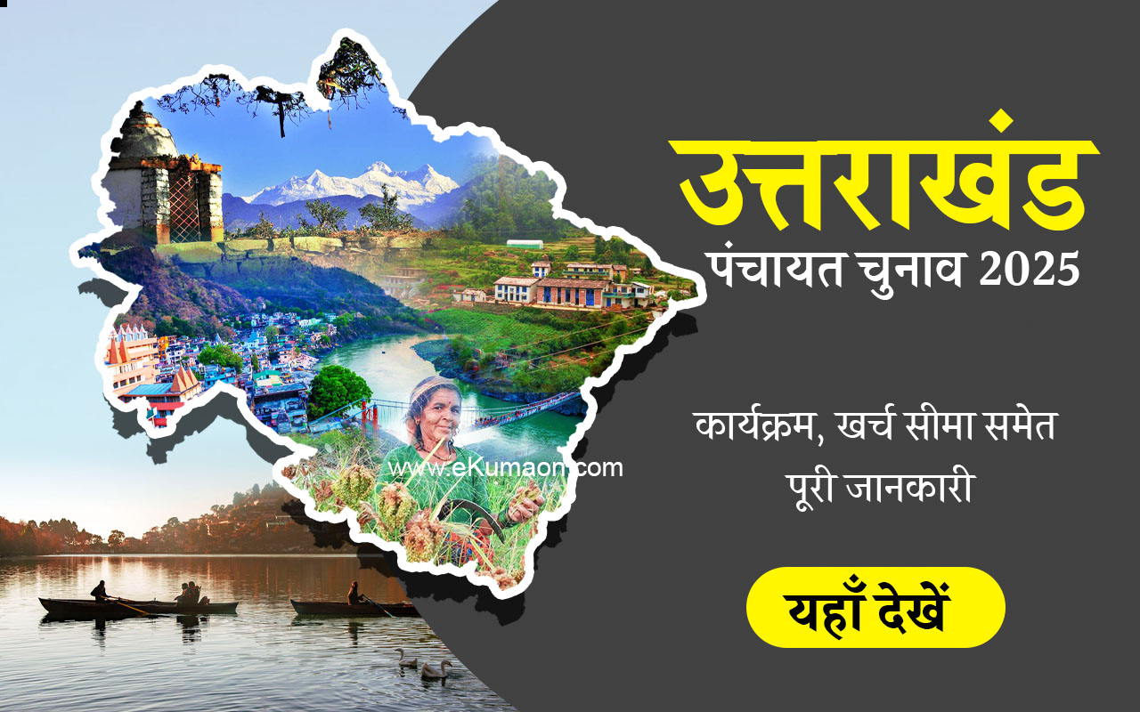 panchayat election 2025