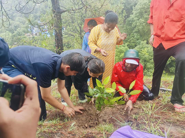 Plantation on Harela Festival